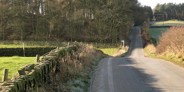 Rabbit Hill Wood