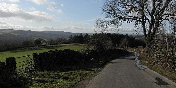 Hollin Wood