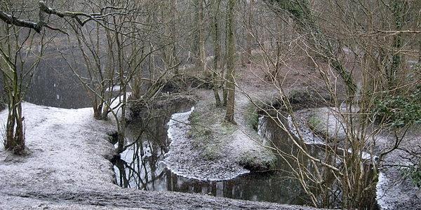 Kręty strumyk wpadający do rzeki Nidd