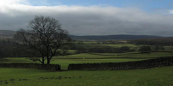 Chciałem zrobić 120km i wrócić do Harrogate - test przed planowaną dwudniową trasą do Scarborough
