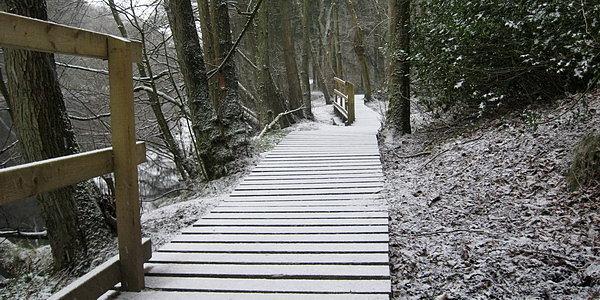 W bardziej stromych miejscach wawozu Nidd znajdują się kładki