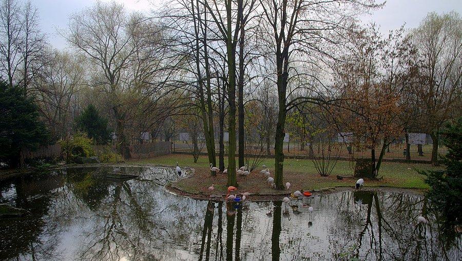 Zoo - Chorzów