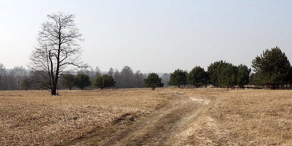 Park Krajobrazowy "Podlaski Przełom Bugu"