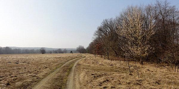 Zabuże. Przy promie do Mielnika