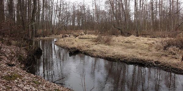 Wczoraj wieczorem doszedł rower z Anglii, więc dzisiejszego dnia pojechałem sprawdzić co w lesie piszczy