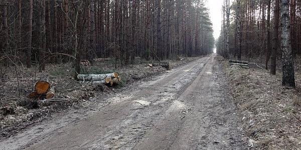 Gdzie drwa rąbią, tam.. coraz mniej chce się jeździć