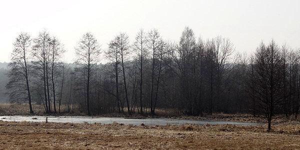 Zabuże. Starorzecze Bugu