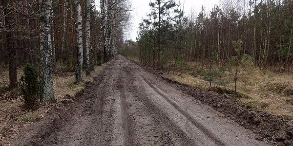 Poszerzono leśną dróżkę, teraz jest leśna droga a oprócz pieszych i rowerzystów pojawiły się też.. samochody