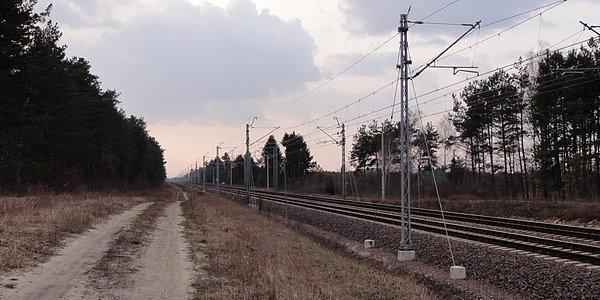 Z Czosnówki wzdłuż torów w stronę leśnego mostku na rzece Rudka