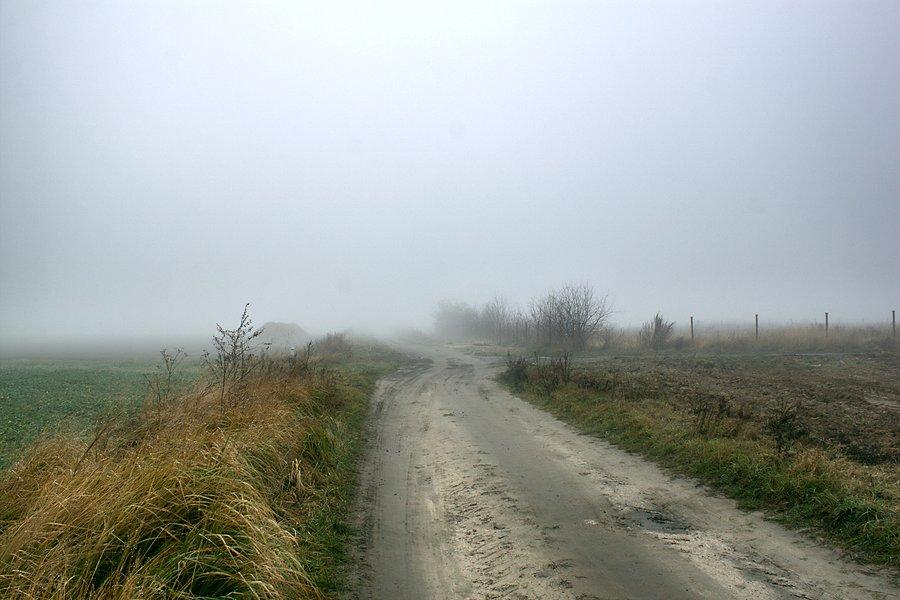 Zamglone widoki