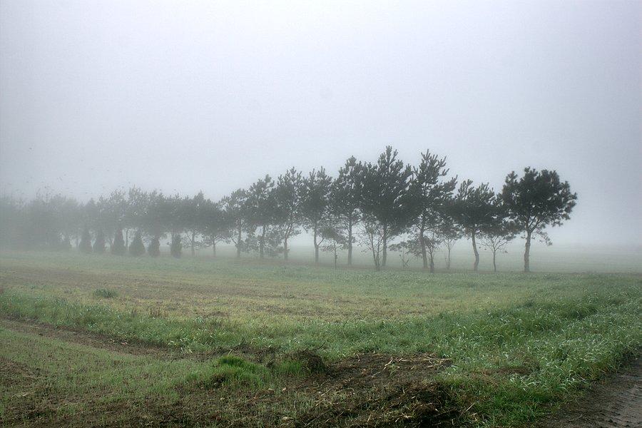 Zamglone widoki