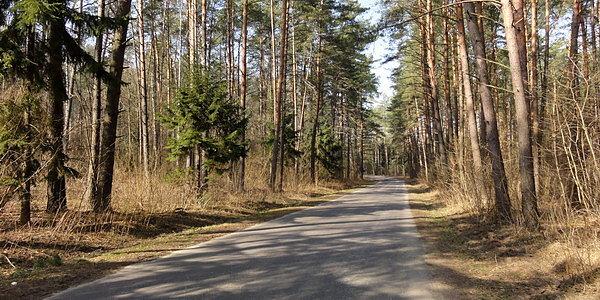 Nadbużanka