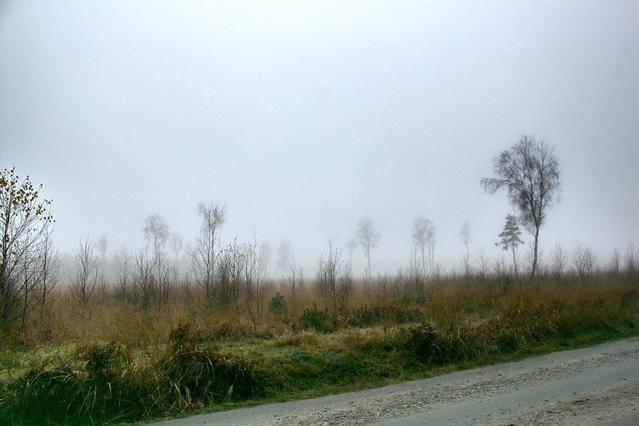 Zamglone widoki
