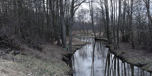 Rzeka Rudka przy mostku kolejowym