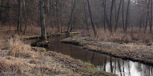 Na wyczyszczonym napędzie popędziłem nad rzekę Rudka