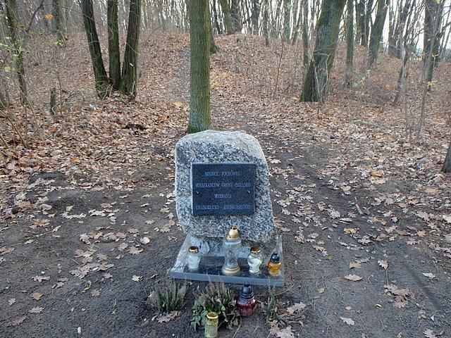 Cmentarz ewangelicki w Osielsku - zdjęcie dedykuje Jarkowi (Jarmikowi) :)