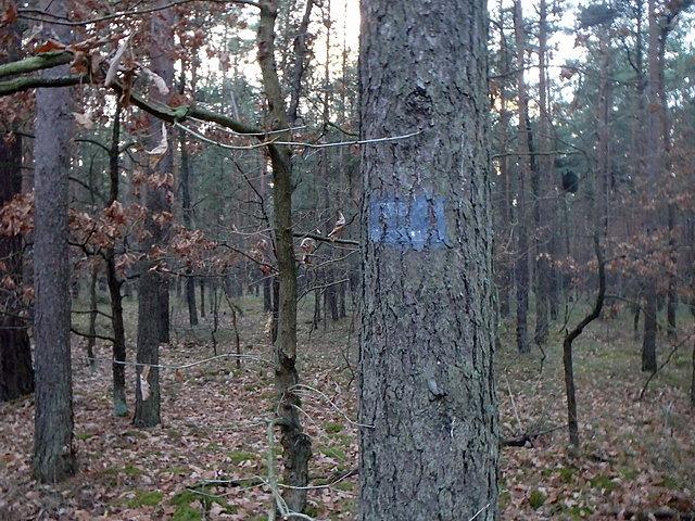 Pierwsze oznakowanie pojawiło się po ok. 3 km