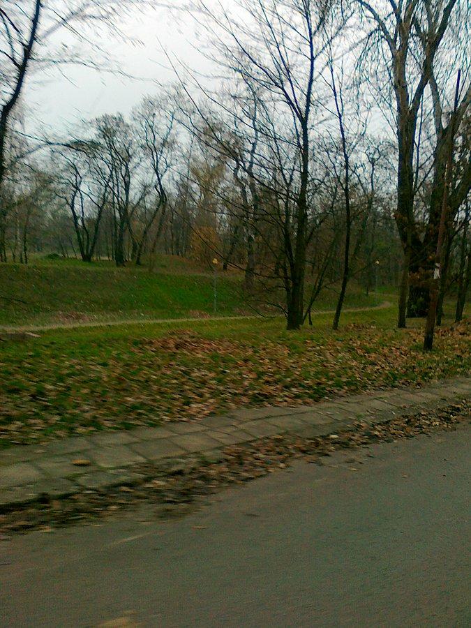 W parku na fortach