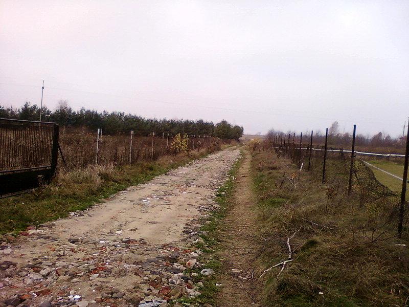 Polna droga w Rosanowie