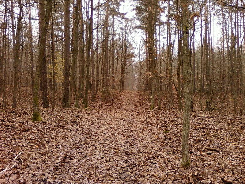 Pofałdowana ścieżka