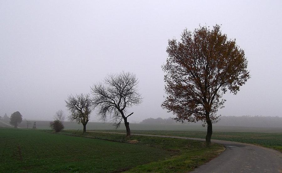 Mgła trochę większa niż wczoraj