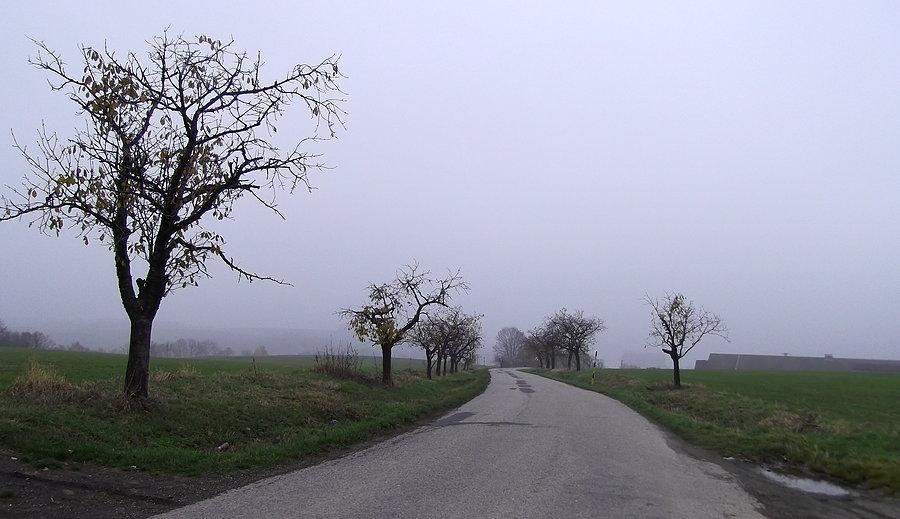 Podjazd z Jilešovic w kierunku Haj we Slezsku