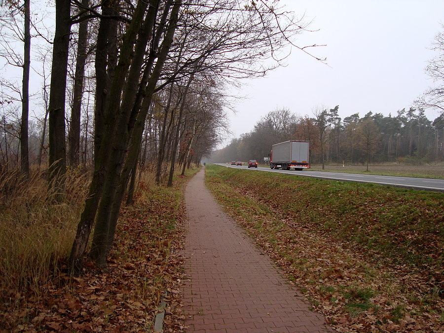 Ścieżka rowerowa z Kalisza do Gołuchowa