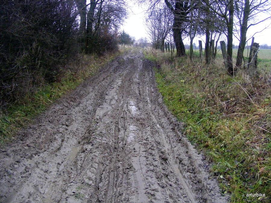 Jeden z fragmentów dzisiejszej trasy......, slisko