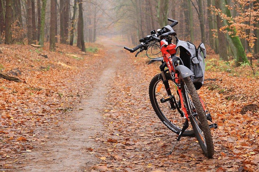 Merida w Puszczy Wkrzańskiej