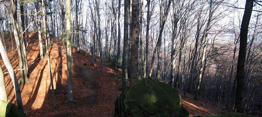 Herby w jesiennej odsłonie #3