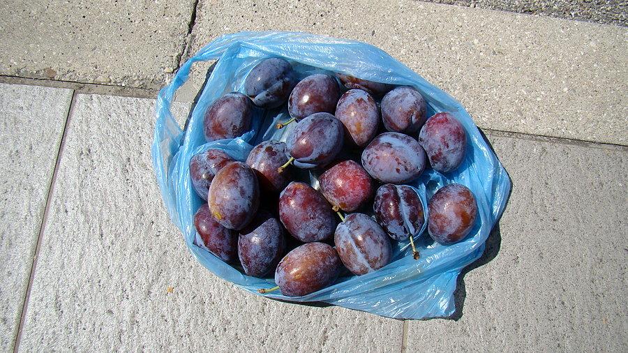 Dieta śliwkowa