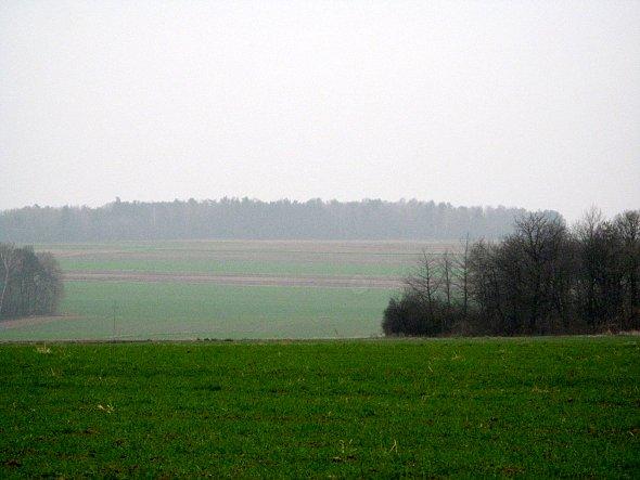 Pola koło Tuszowa