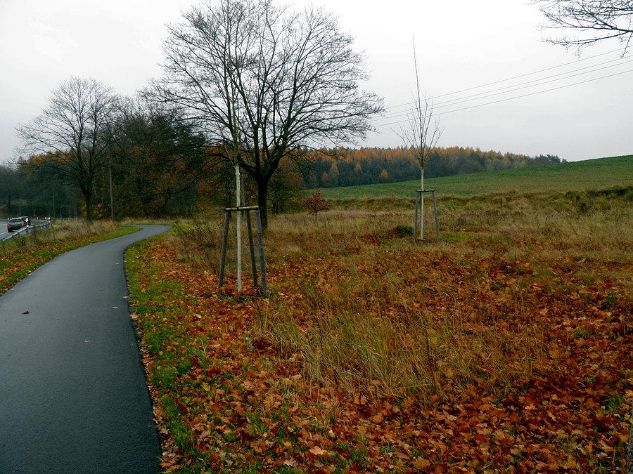 Ścieżką rowerową do granicy w Lubieszynie już tylko trzy kilometry