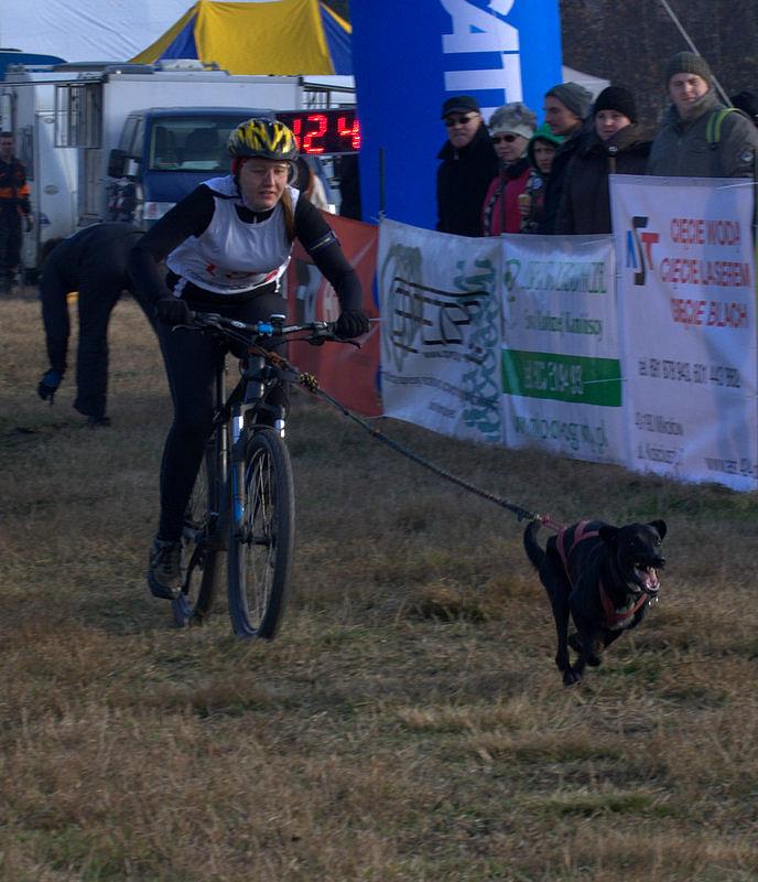 Rower mam..., tylko psa u mnie chwilowo nie ma