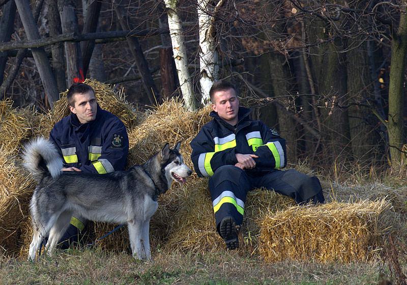 Nasza dzielna straż