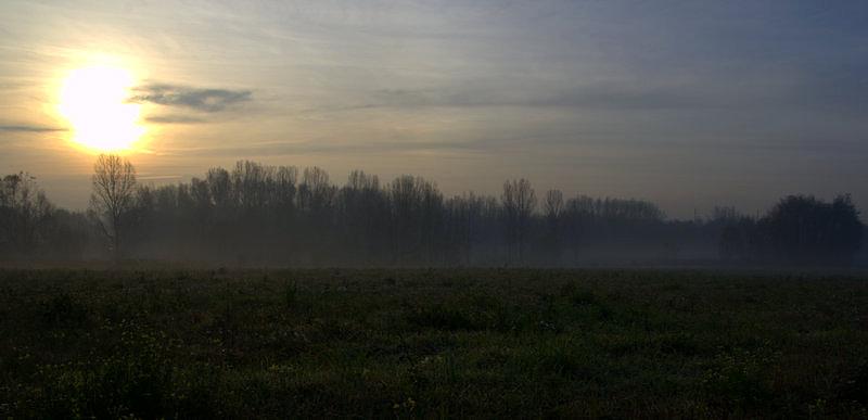Poranek w Rudzie Śląskiej