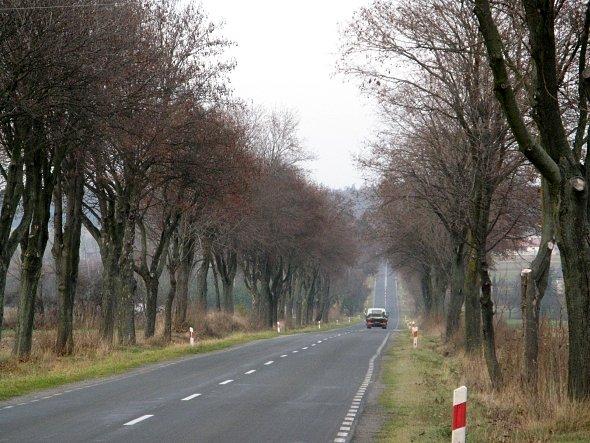 Droga w stronę Niedrzwicy Duzej