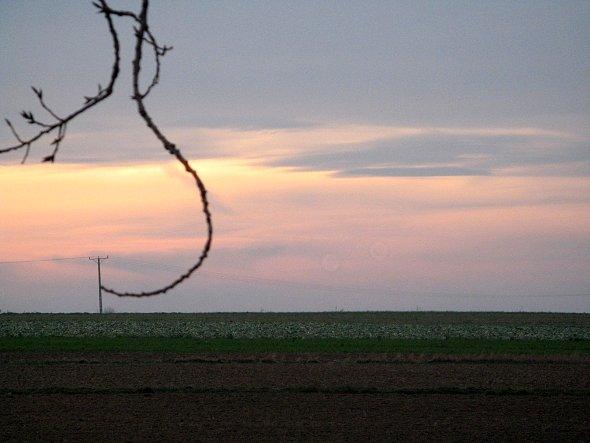 Abstrakcja popołudiowa