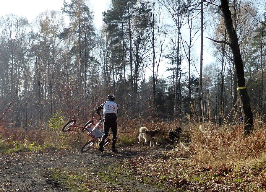 Czasem się spada