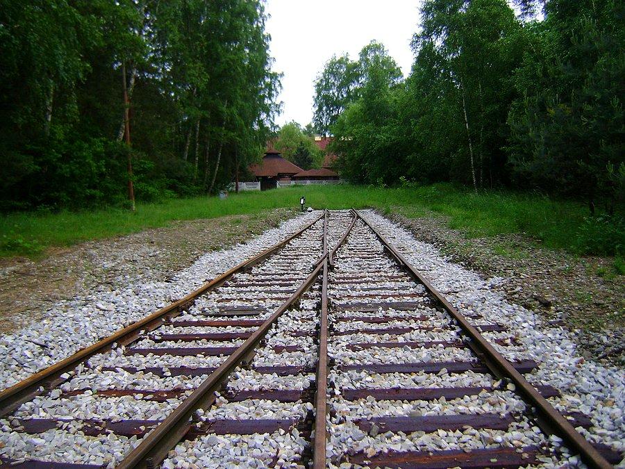 Wymieniony rozjazd na stacji Spała
