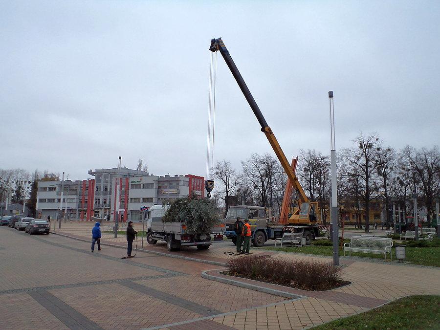 Wungiel przwieźli, nie choinkę :-)