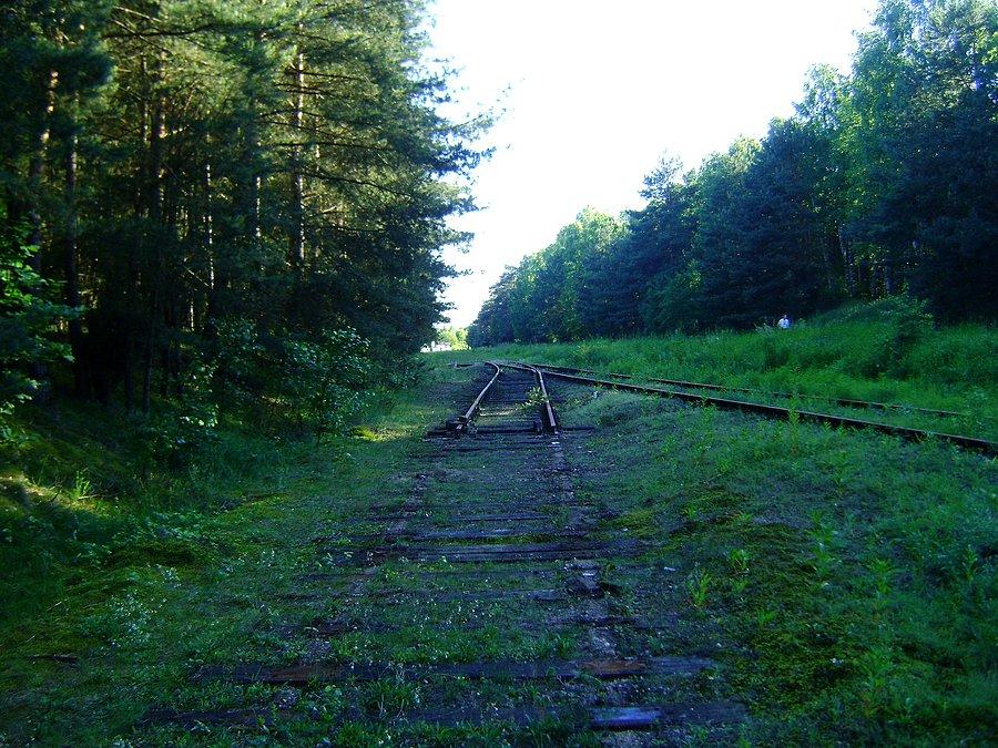 Bocznica odchodząca od linii kolejowej 53 na Tedex-Oil na Cyganie rozebrana (czerwiec 2013)