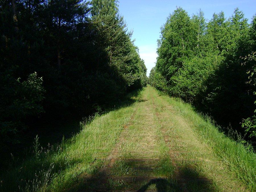 Bocznica odchodząca od linii kolejowej 53 na Tedex-Oil na Cyganie rozebrana (czerwiec 2013)