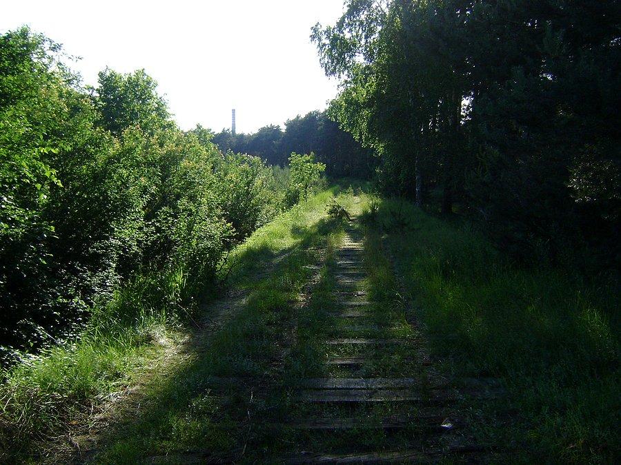 Bocznica odchodząca od linii kolejowej 53 na Tedex-Oil na Cyganie rozebrana (czerwiec 2013)