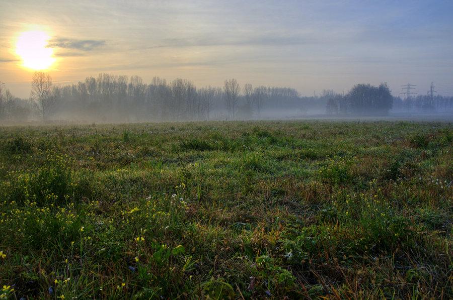 Za kilka miesięcy znowu się wszystko zazieleni
