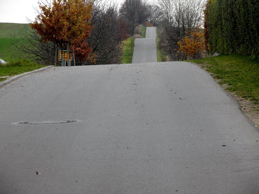 Końcowy odcinek drogi Grünhof - Pampow, tuż przed Pampow