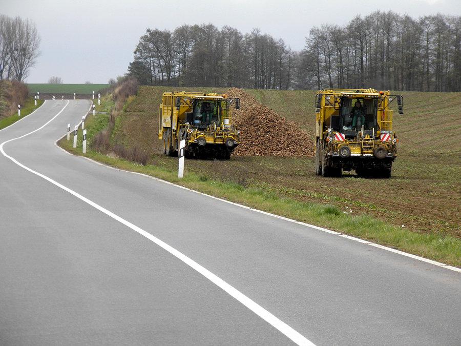 Pod Schwennenz buraki cukrowe zebrane - sobota 23 listopada 13 r