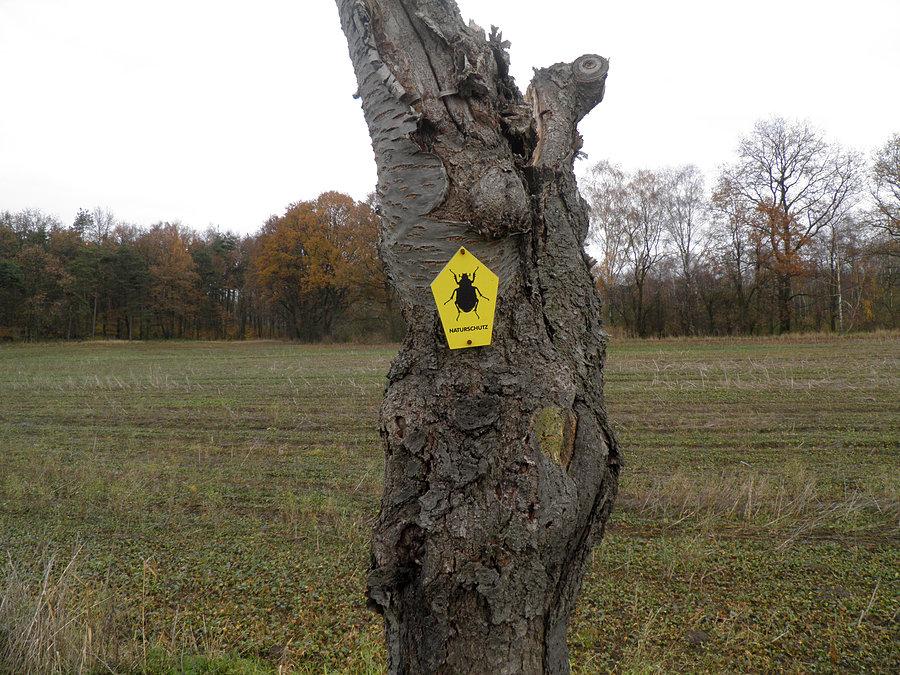 Jeszcze jeden obrazek z dzisiejszej wycieczki - tuż przed Grambow