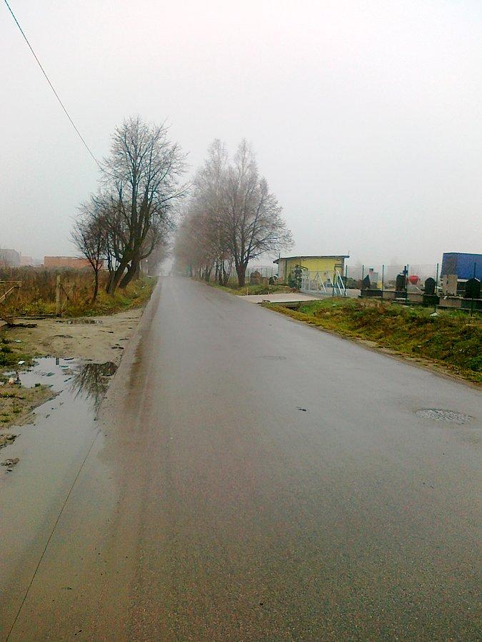 Droga z Traktu Królewskiego do Warszawskiej w Wojcieszynie
