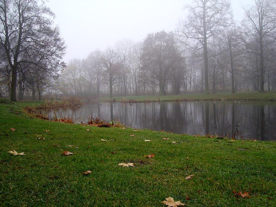 Staw w parku w Dobrzycy